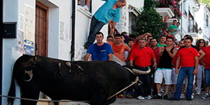 Monumento al Toro de Cuerda