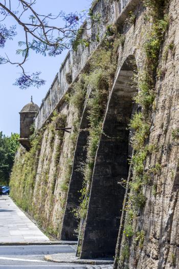 Muralla de San Carlos