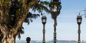 Alameda de Apodaca