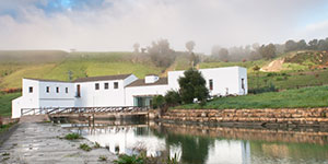 Molinos del Río