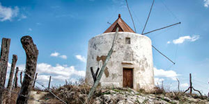 Molino de la Cruz Conil