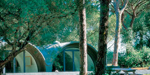 Fundación NMAC