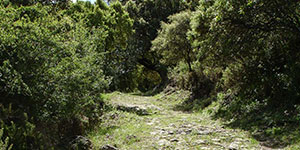 Ruta del Tesorillo