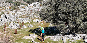 Ruta Puerto de Presillas