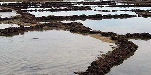 Corrales de pesca